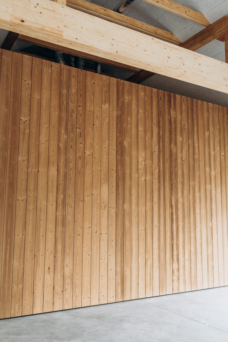 Termo egles dēļi interjera sienas apdarē