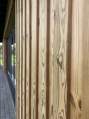 Termo priedes un termo egles fasādes dēļi