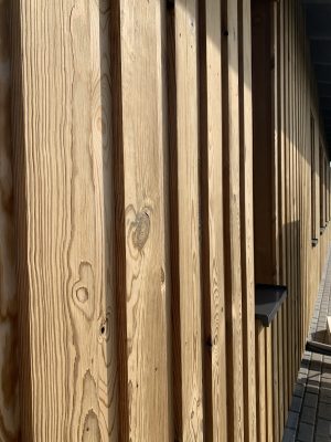 Termo priedes un termo egles fasādes dēļi